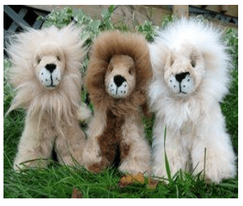 Lions 12"
