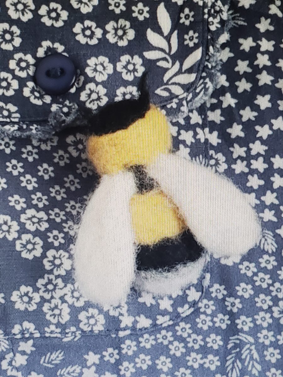 Felting Kit: Bee