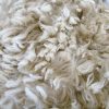 Fiber, Huacaya Alpaca, Raw