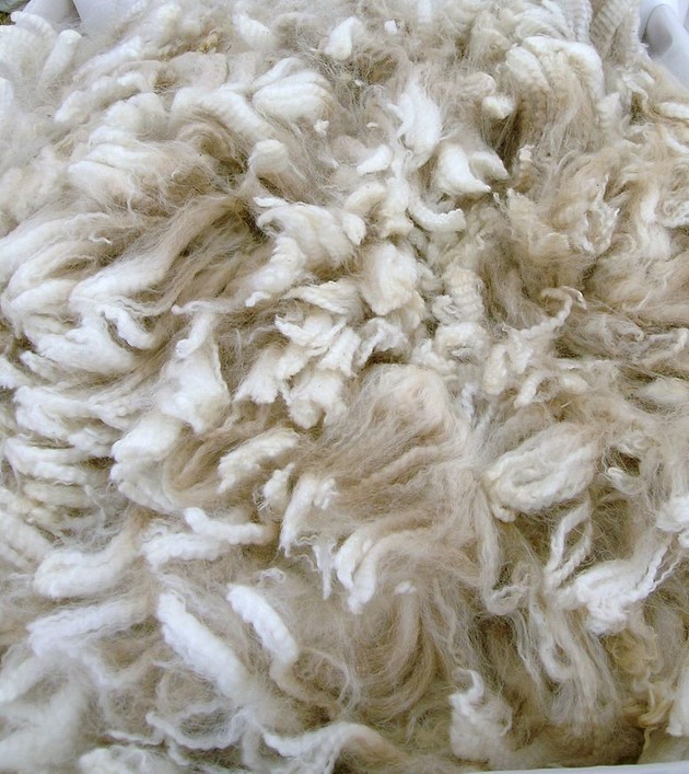 Fiber, Huacaya Alpaca, Raw