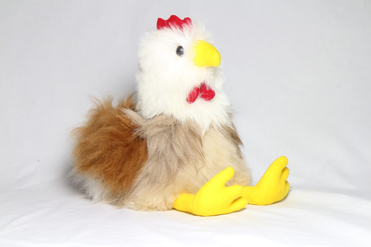 Chicken