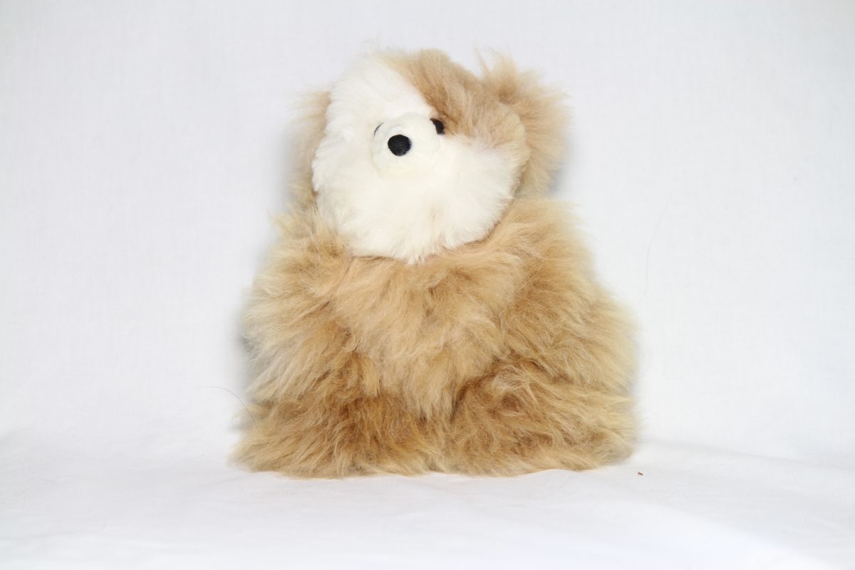 Teddy Bear 12"