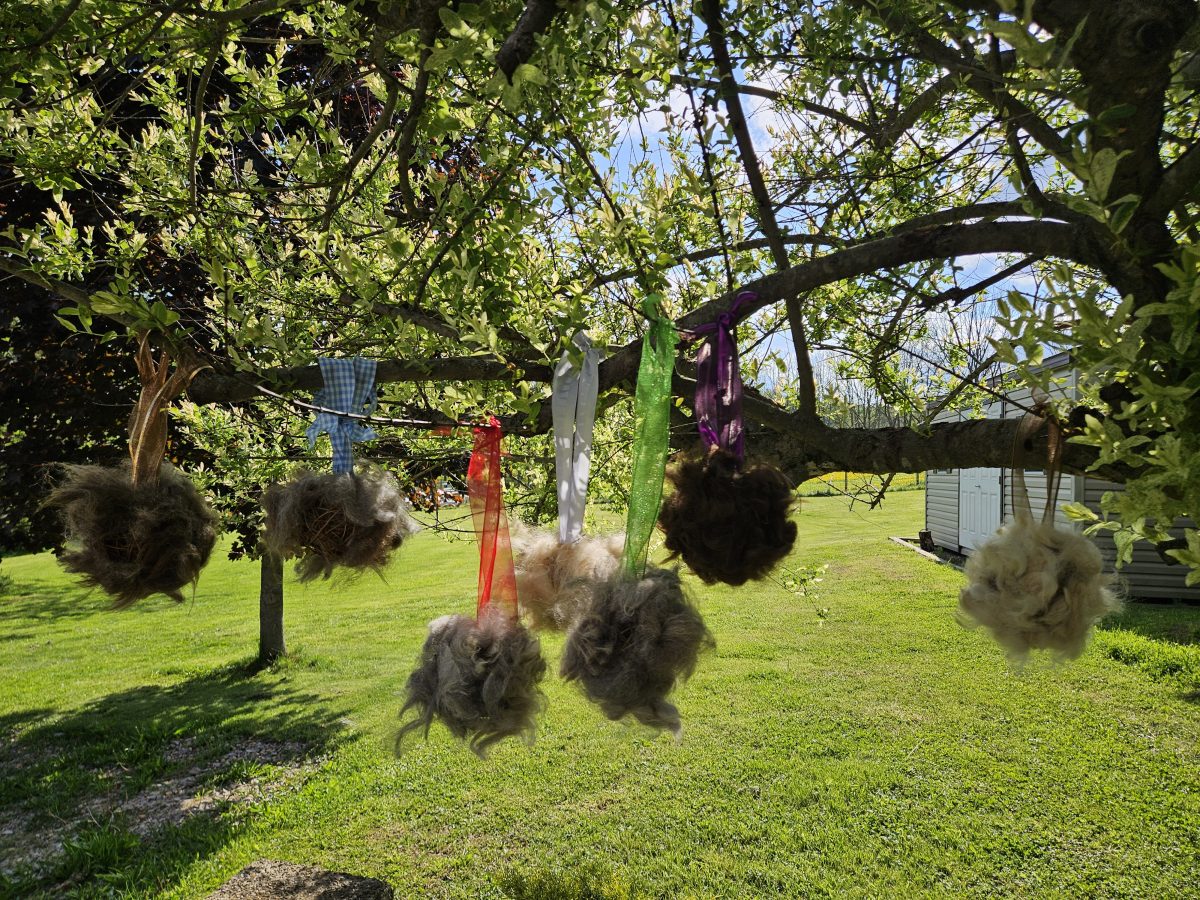 Nesting Balls - Image 2
